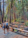 Dag 4 Yosemite NP