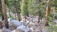 IMG-20220724-WA0058