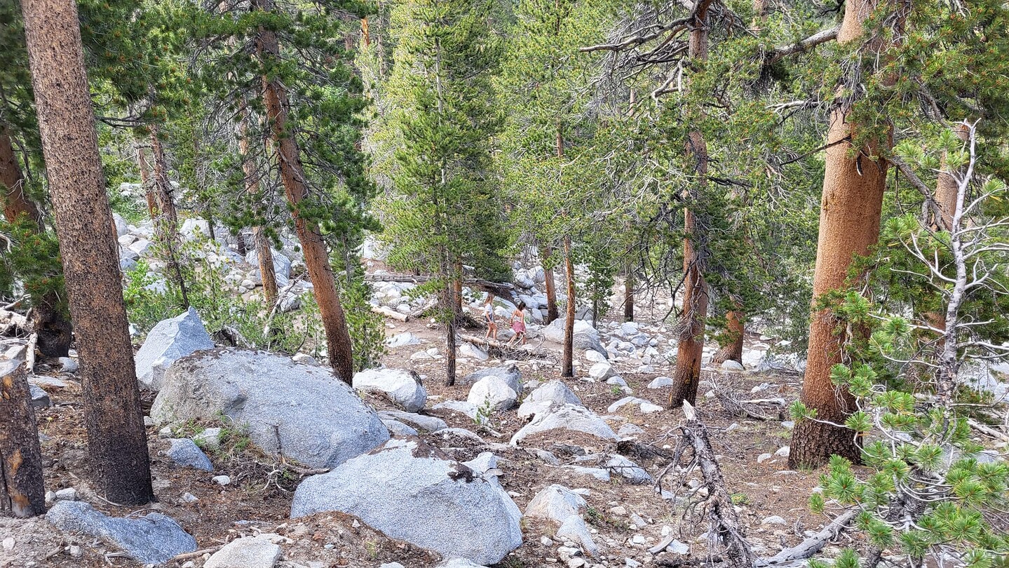 IMG-20220724-WA0058