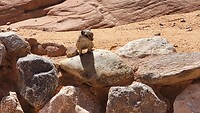 IMG-20220728-WA0022