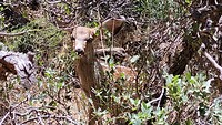IMG-20220730-WA0014