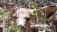 IMG-20220730-WA0013