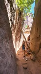 IMG-20220730-WA0015
