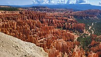 IMG-20220731-WA0005