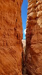 IMG-20220801-WA0003