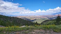 IMG-20220801-WA0019
