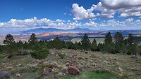 IMG-20220801-WA0018