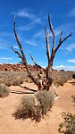 IMG-20220802-WA0014