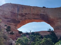 IMG-20220804-WA0013