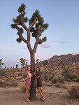 IMG-20220809-WA0024