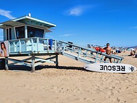 IMG-20220810-WA0013