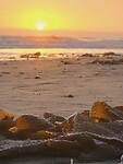 IMG-20220814-WA0005