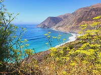 IMG-20220815-WA0019