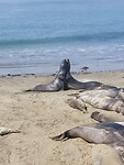 IMG-20220815-WA0016