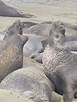IMG-20220815-WA0015