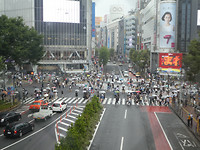 Shibuya Crossing
