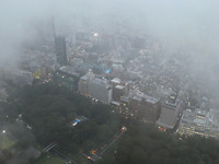 Tokio vanaf Tokio Metropolitan Government Offices