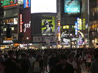 Shibuya Crossing by night