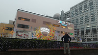Odaiba