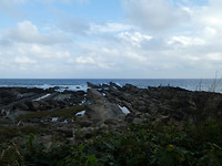 Xiaoyeliu
