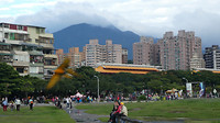 Vanaf de boulevard
