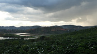 Weaselfarm