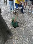 Cu Chi Tunnels