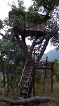 De boomhut