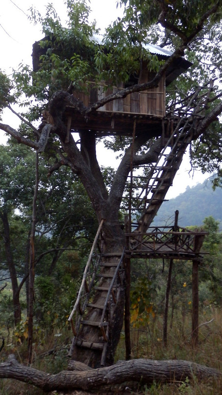 De boomhut