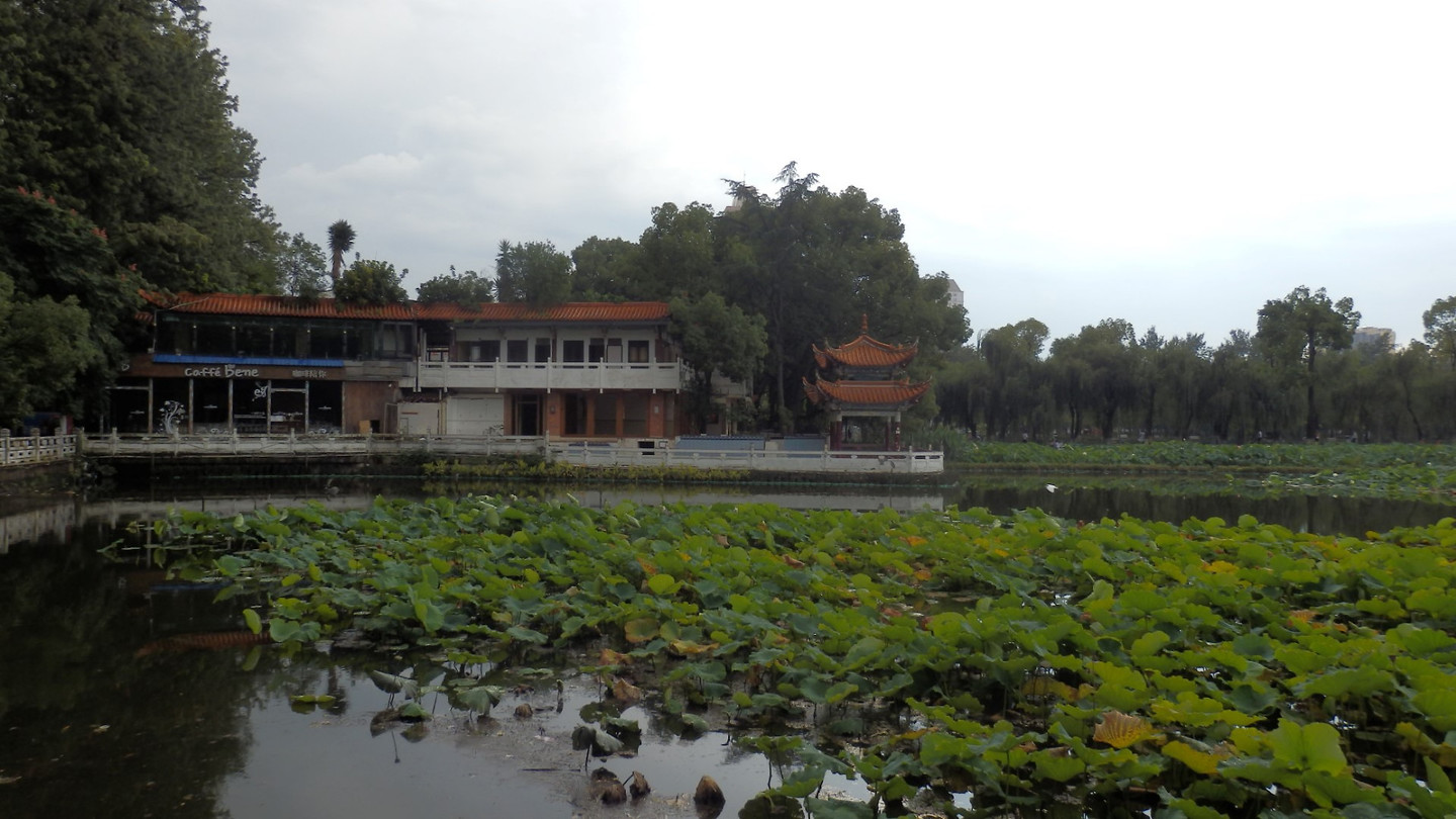Green Lake Park