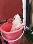En die moet ook gewassen worden