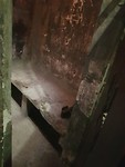 20190710_142945
