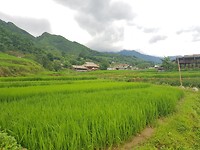 20190712_140650