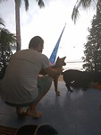 Afscheid nemen van Foxy