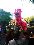 Chinese draak met tak in mond