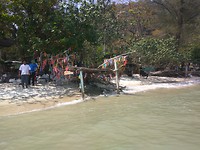 Wensboom op Monkey Beach (deze zie je echt overal met Chinees Nieuwjaar)