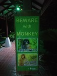 Beware of monkeys in our bungalow park