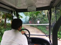 Op weg naar onze villa in de buggy - hier waren ze aan het 'foggen' om insecten uit te roeien