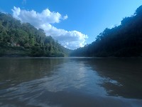Taman Negara