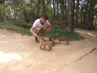 Spelen met de kleine puppers!