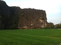 Tam Coc Homestay