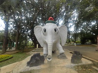 Dumbo!