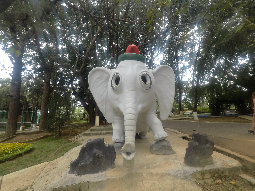Dumbo!