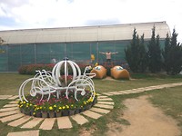 Klompen in Vietnam