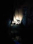 Grot foto's (het komt helaas niet over hoe indrukwekkend het was)