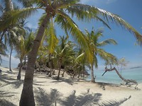 Malcapuya island
