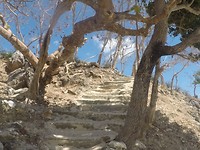 Pulog Island