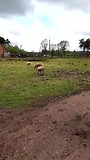 VID-20170417-WA0010