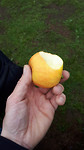 IMG-20170417-WA0006