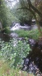20170602_065914